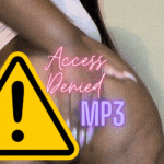 Access Denied:  Keep Stroking mp3